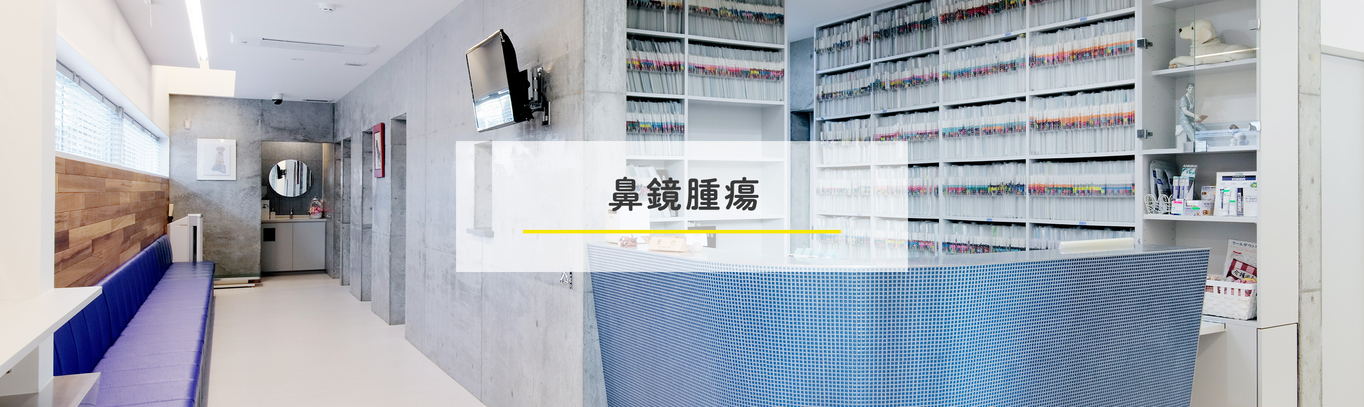 鼻鏡腫瘍