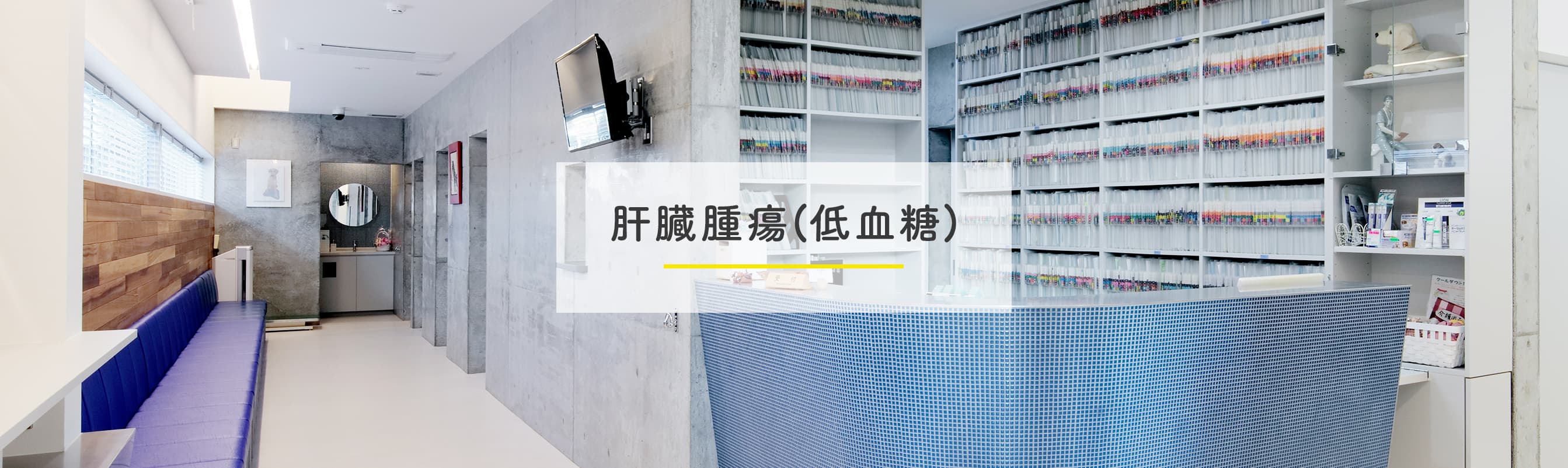 肝臓腫瘍(低血糖)
