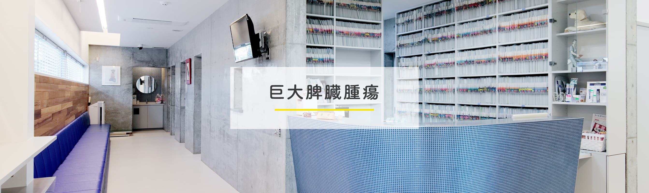 巨大脾臓腫瘍