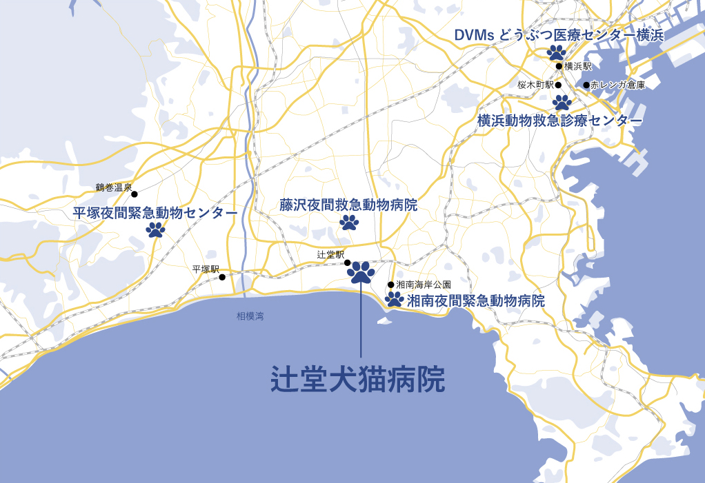広域MAP